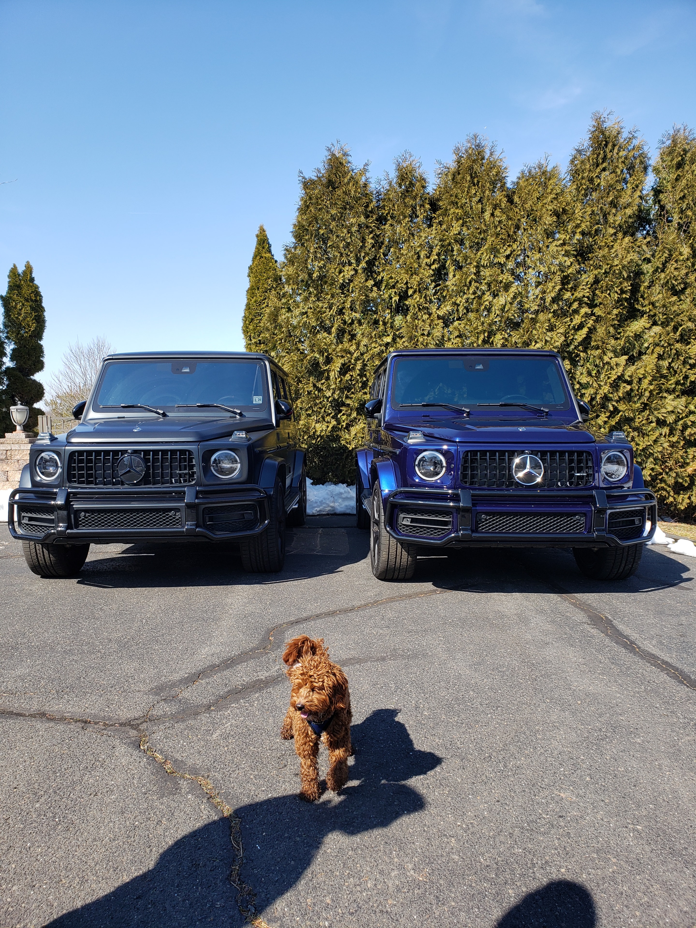G-Wagon models wedding vehicle photo 1