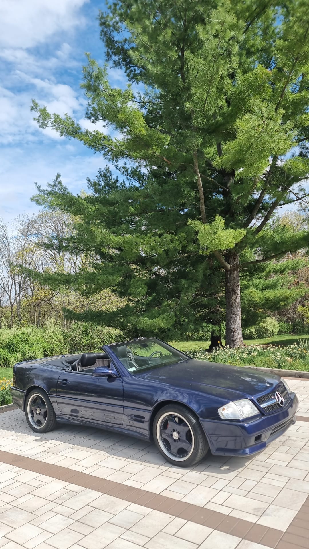 SL Convertible wedding vehicle photo 3