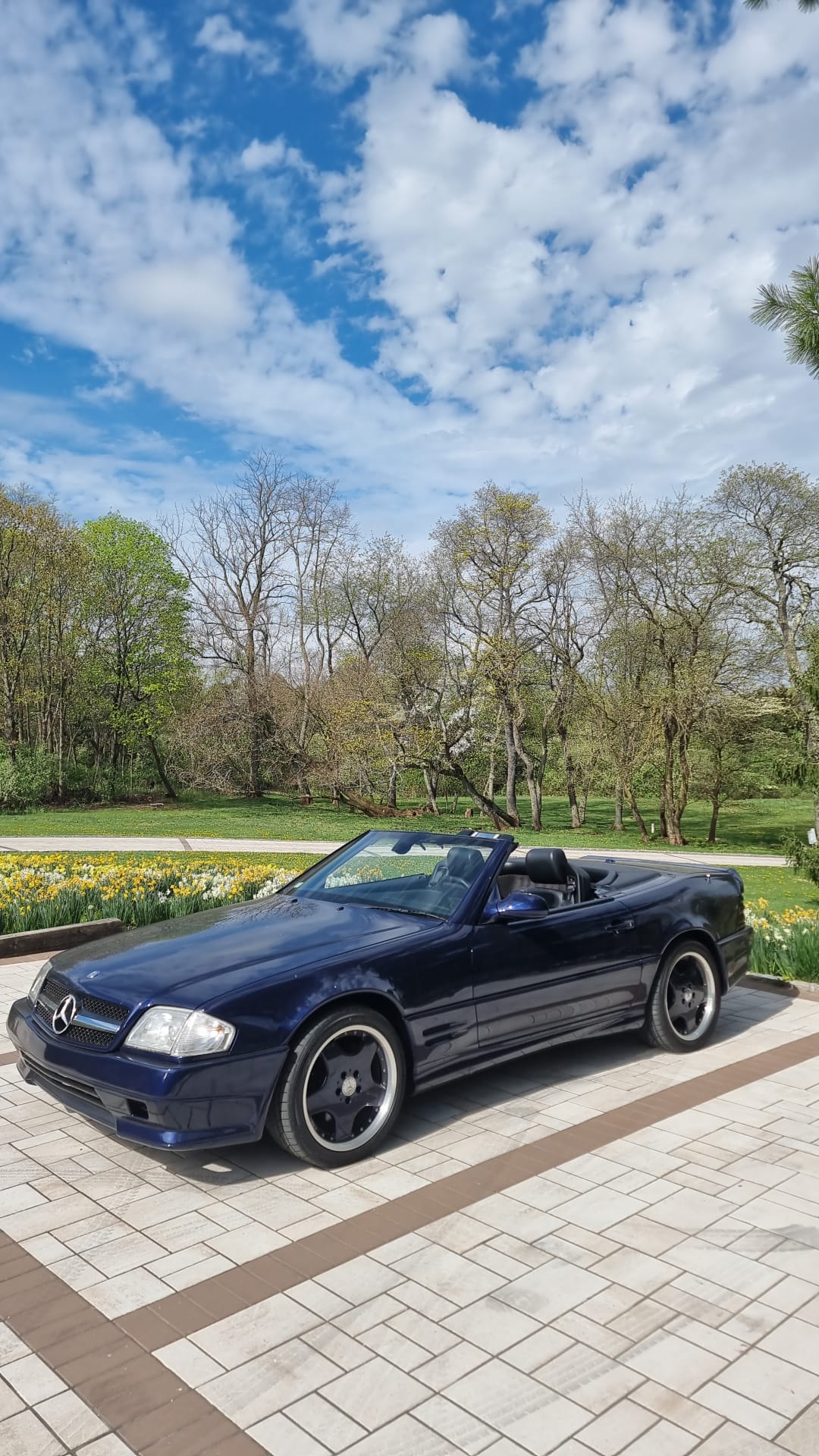 SL Convertible wedding vehicle photo 4